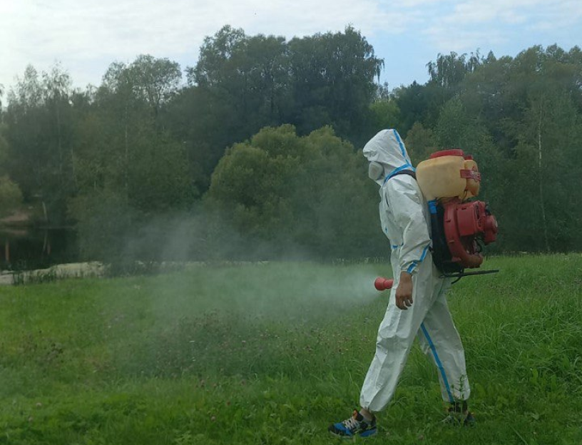 photo-1 